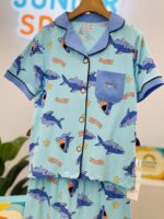Little Shark Adventure Set - Image 2