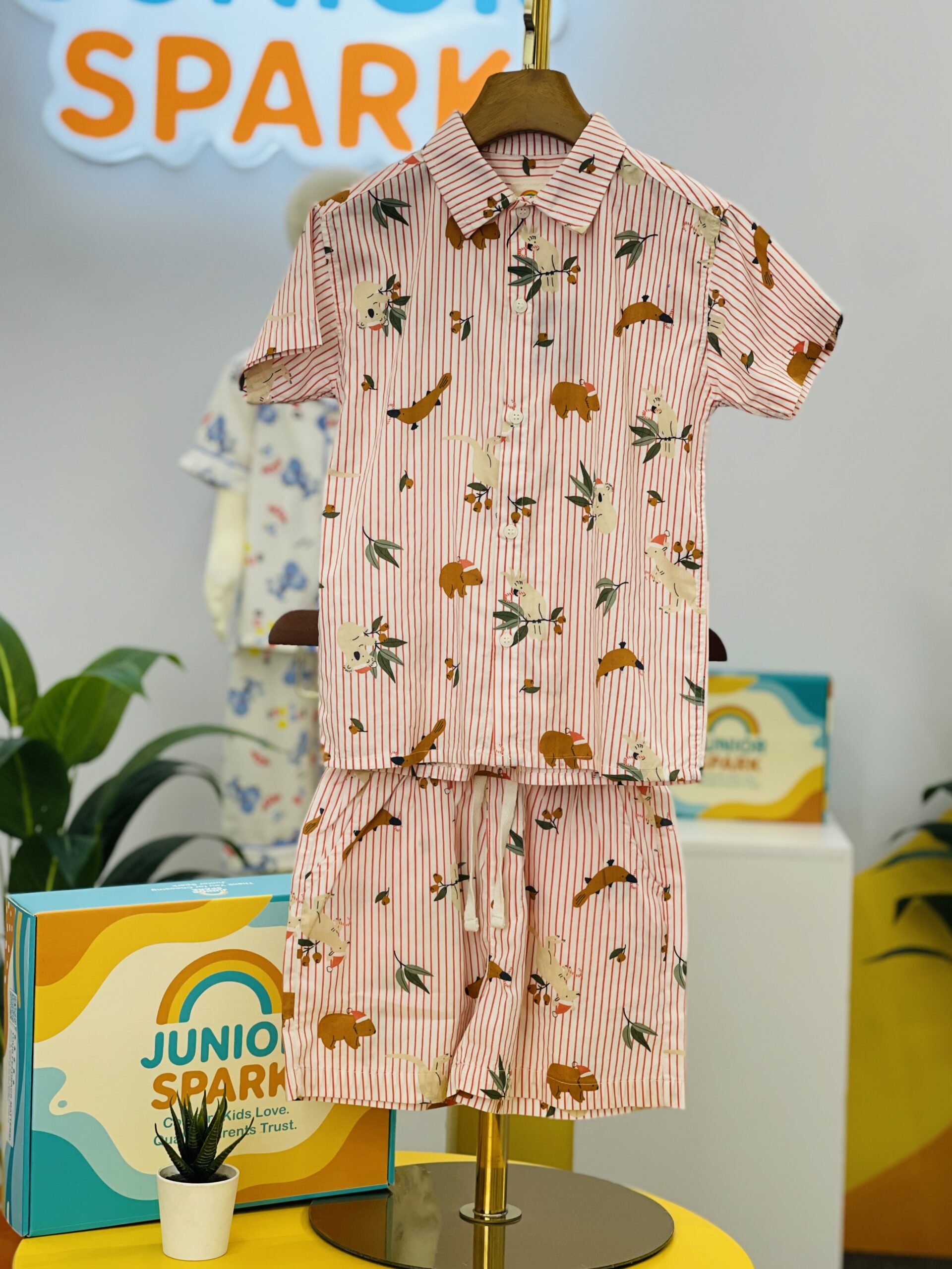 IMG_2780 2 Safari Stripe Summer Set - Image 1