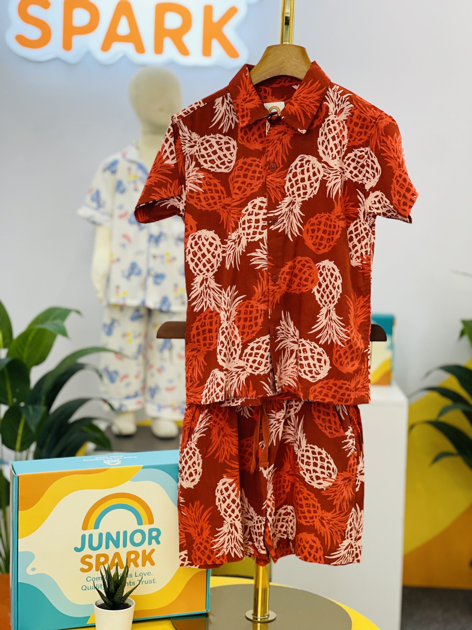 IMG_2796 4 Red Pineapple Summer Set - Image 1