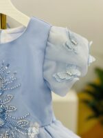 Blue Princess Tulle Dress - Image 3