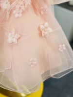 Peach Princess Dress - Image 5