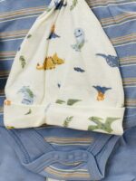Little Dino Newborn Set - Image 3